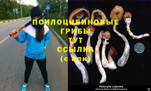 бутират Алексин