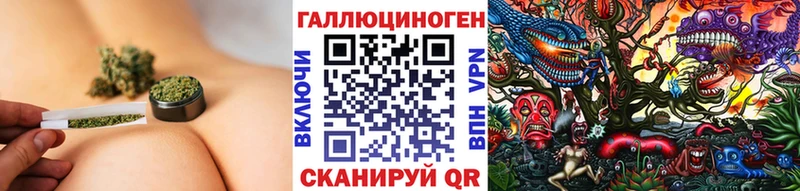 мега   маркетплейс какой сайт  Псилоцибиновые грибы Psilocybe  Сафоново 